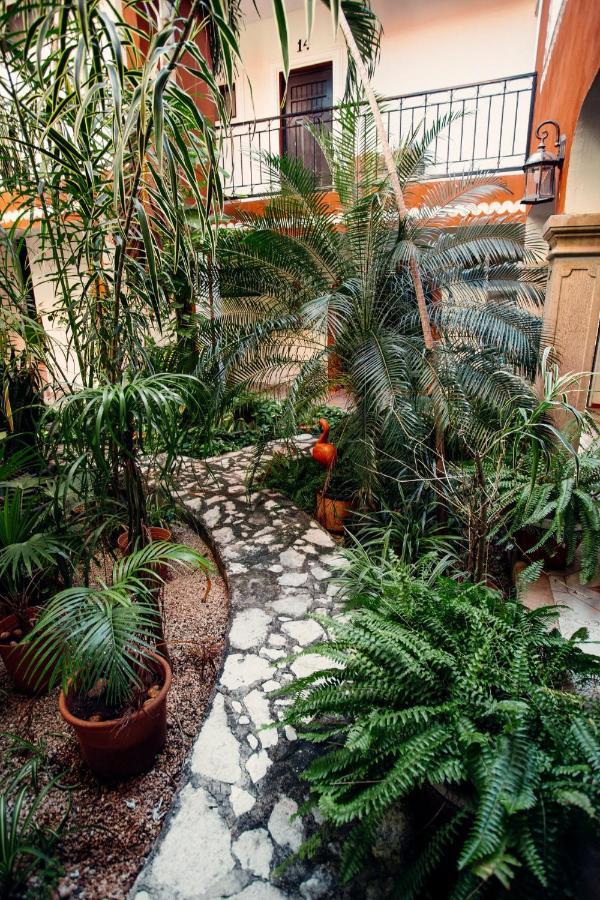 Hotel Quinta Marciala Mx Valladolid  Eksteriør billede